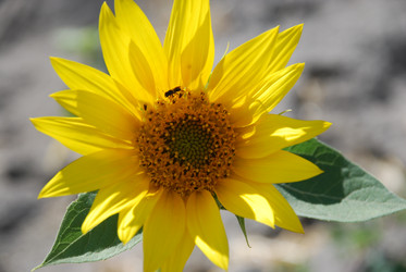 Similar image 22318756