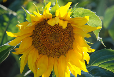 Similar image 22318757