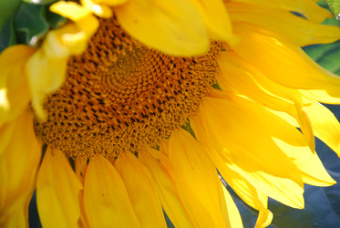 Similar image 22318759