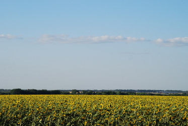 Similar image 22318760