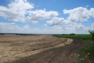 Similar image 22318762