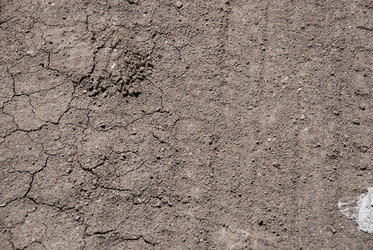 Similar image 22318765