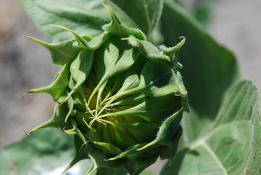 Similar image 22318768