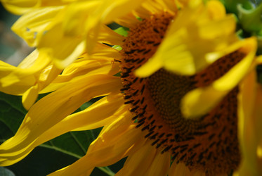 Similar image 22318769