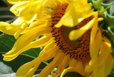 Similar image 22318770