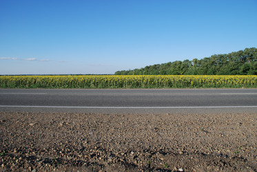 Similar image 22318774