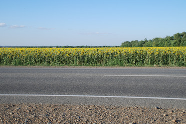 Similar image 22318775