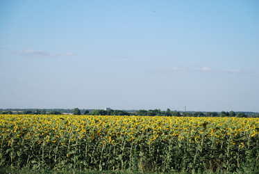 Similar image 22318776