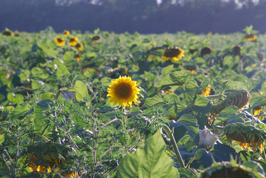 Similar image 22318778