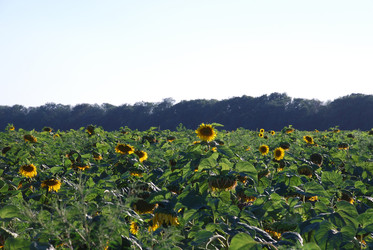 Similar image 22318779