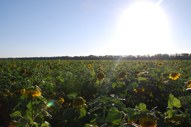 Similar image 22318780