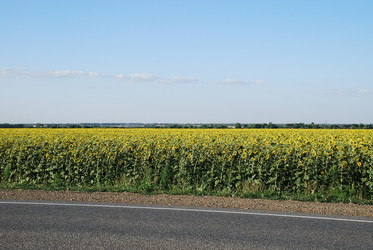 Similar image 22318781