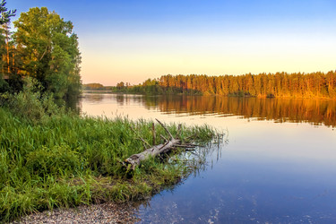 Similar image 22317570