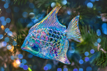 Similar image 22318504