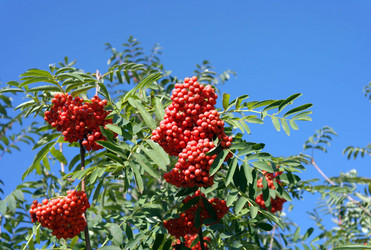 Similar image 22318651