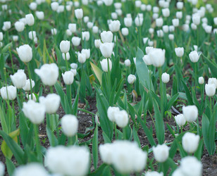 Similar image 22318809