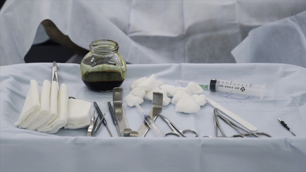 Similar image 22331547