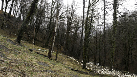 Similar image 22325606