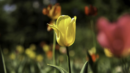 Similar image 22325618