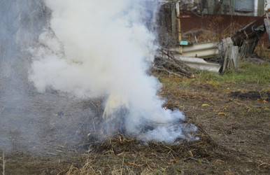 Similar image 22316774