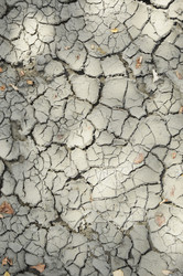 Similar image 22316775