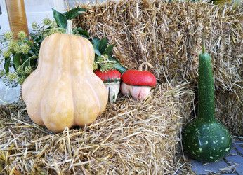 Similar image 22316792