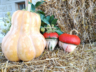 Similar image 22316793