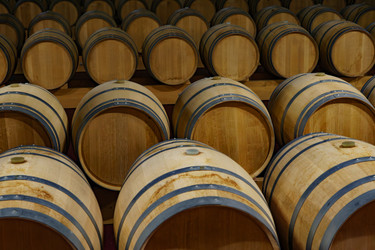 Similar image 22318329