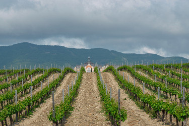 Similar image 22318330