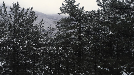 Similar image 22326184