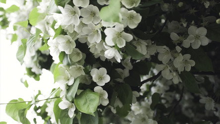 Similar image 22326186