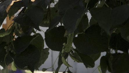 Similar image 22326187