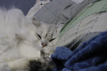 Similar image 22317356