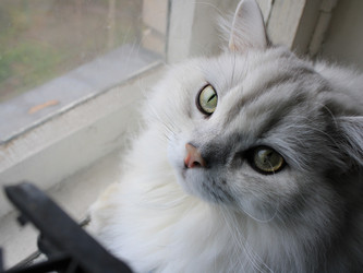 Similar image 22317357