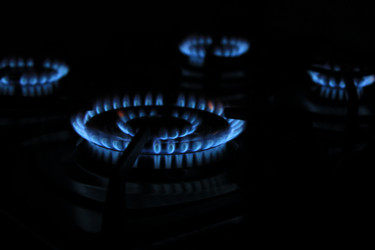 Similar image 22316503