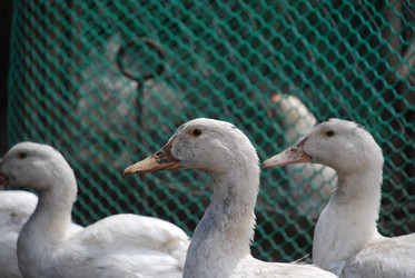 Similar image 22318810