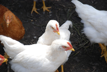 Similar image 22318812