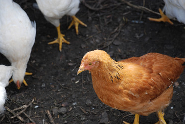 Similar image 22318813