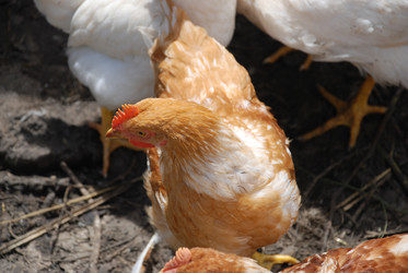 Similar image 22318814