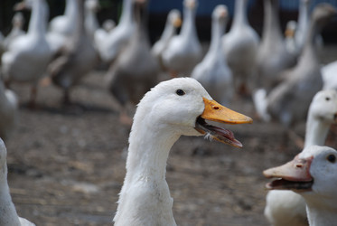 Similar image 22318815