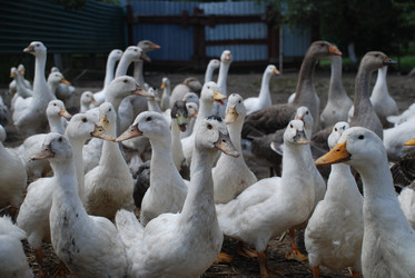 Similar image 22318817