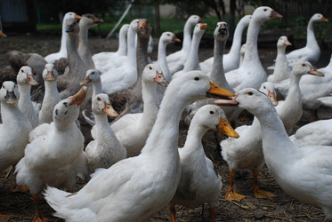 Similar image 22318819