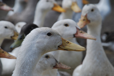 Similar image 22318821