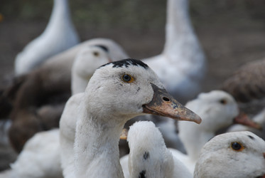 Similar image 22318822