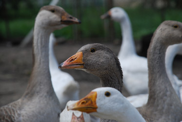 Similar image 22318825