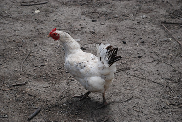 Similar image 22318830