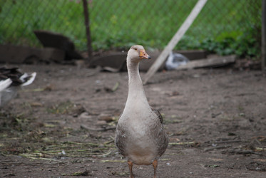 Similar image 22318831