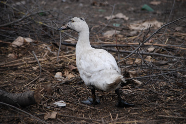 Similar image 22318832