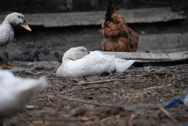 Similar image 22318834