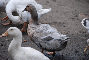 Similar image 22318836